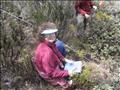 Practica de Ecologia Avanzada Cuenca Turmero Prof Michele